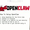 OpenClaw setup tutorial screenshot at 00:20